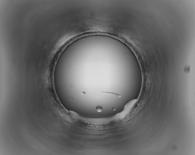 X0000097801215200803141046