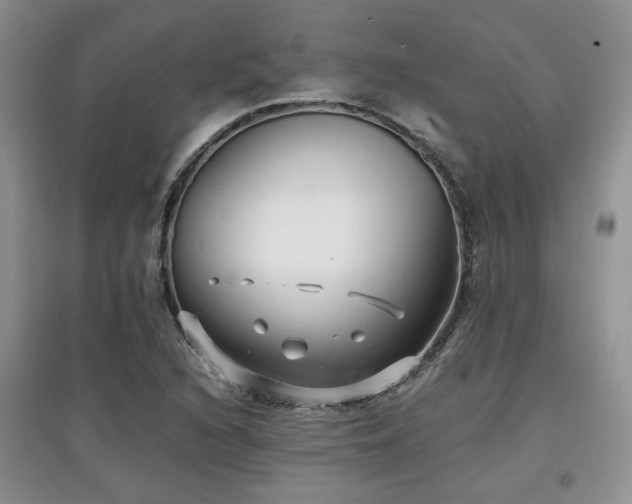 X0000097801216200803141046