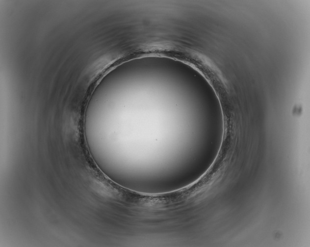 X0000097801217200803141046