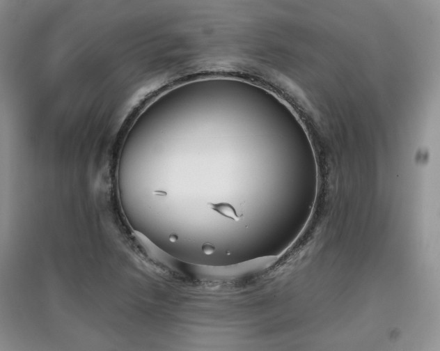 X0000097801218200803141046