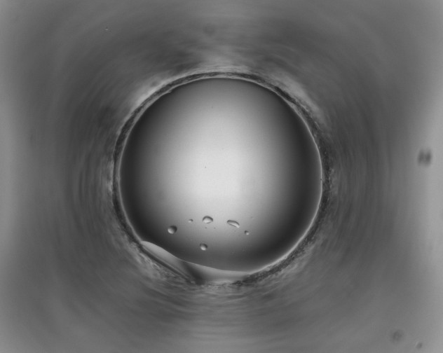X0000097801220200803141046