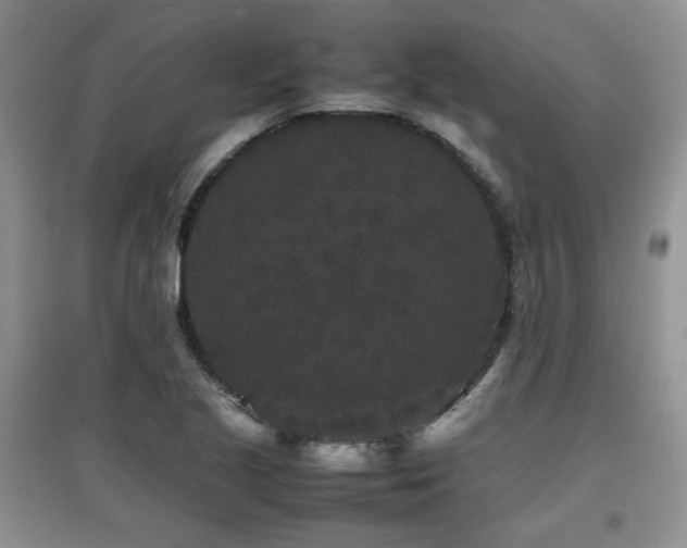 X0000097801221200803141046