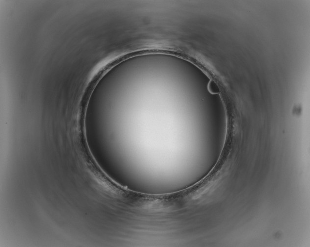 X0000097801222200803141046