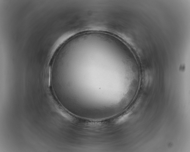 X0000097801223200803141046