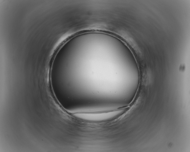 X0000097801224200803141046