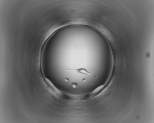 X0000097801228200803141046