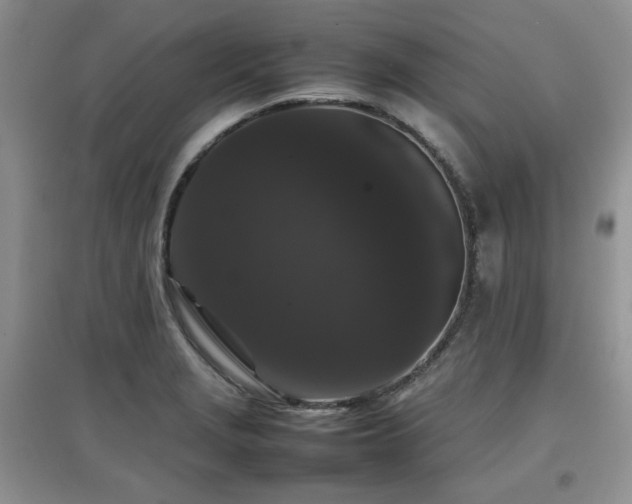 X0000097801229200803141046
