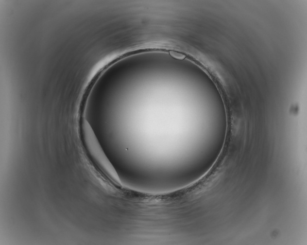 X0000097801230200803141046
