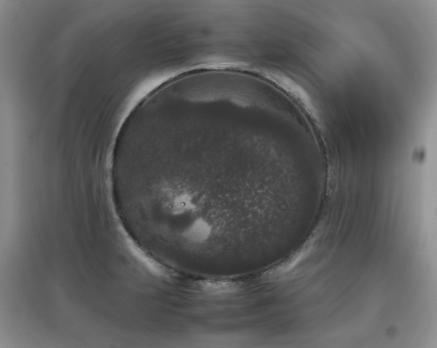 X0000097801231200803141046