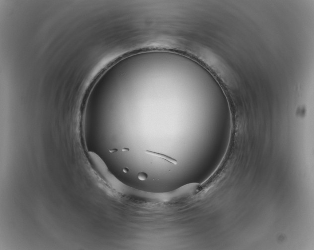 X0000097801232200803141046