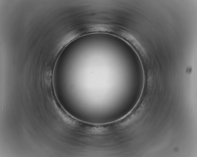 X0000097801233200803141046