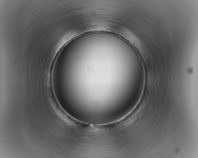 X0000097801234200803141046