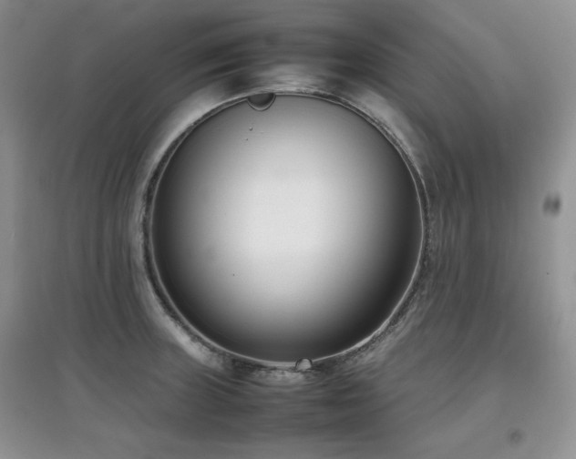X0000097801235200803141046