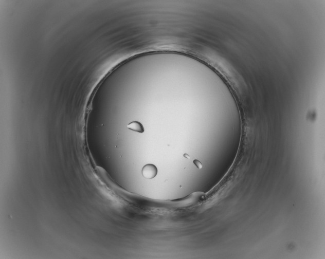 X0000097801236200803141047