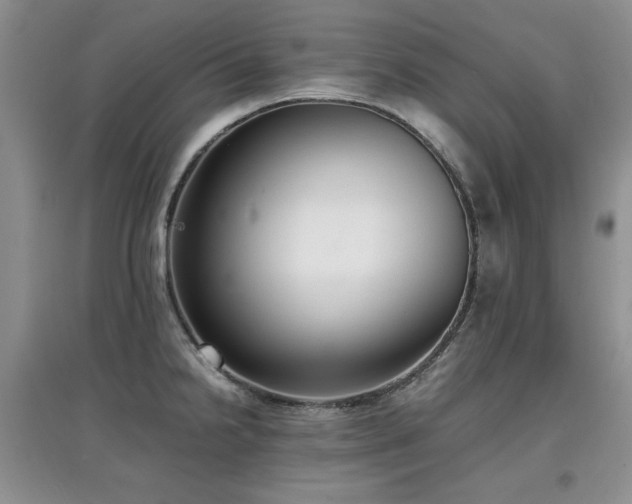 X0000097801238200803141047