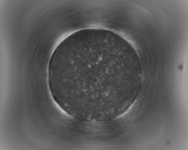 X0000097801239200803141047