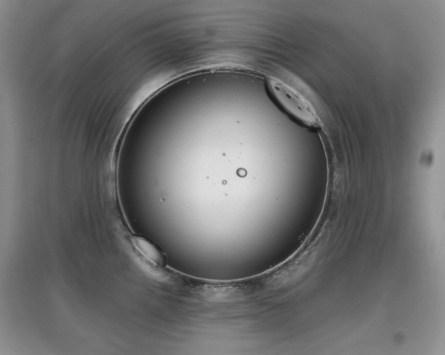 X0000097801242200803141047