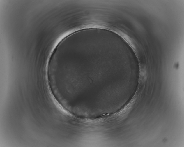 X0000097801246200803141047