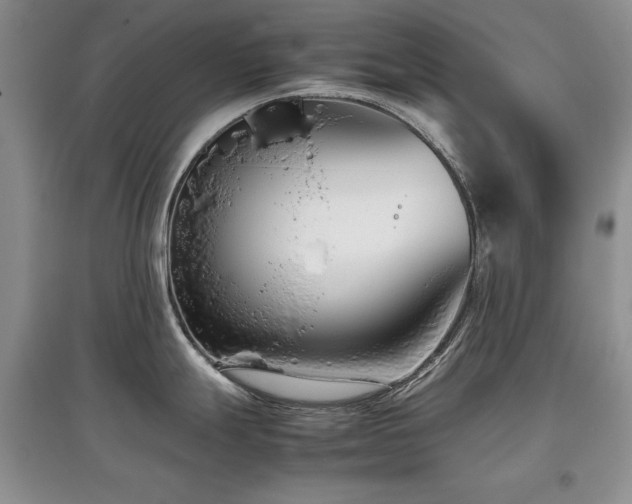 X0000097801247200803141047
