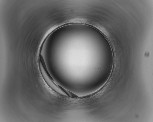 X0000097801248200803141047