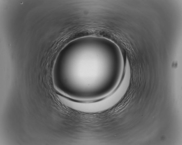 X0000097801249200803141046