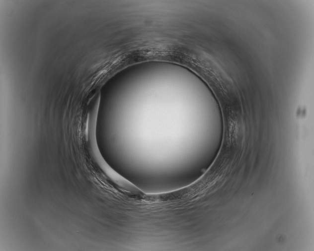 X0000097801250200803141046