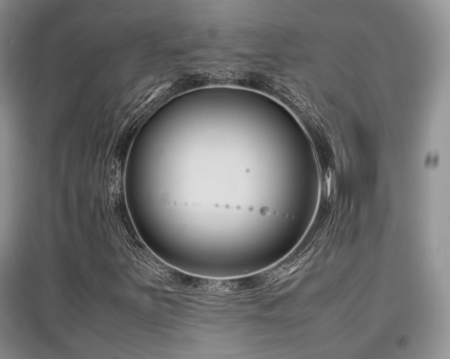 X0000097801251200803141046