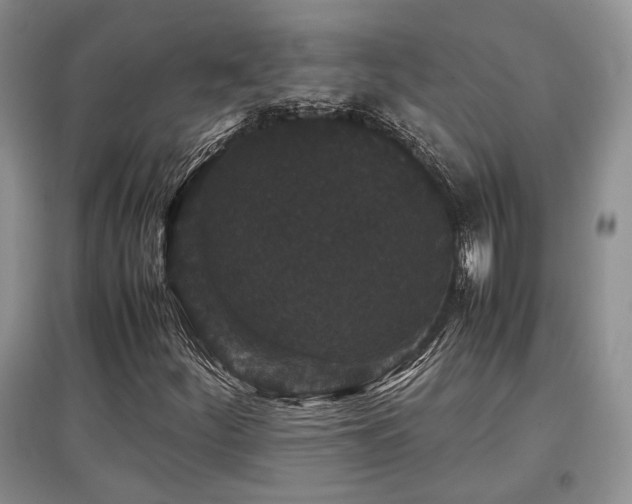 X0000097801252200803141046