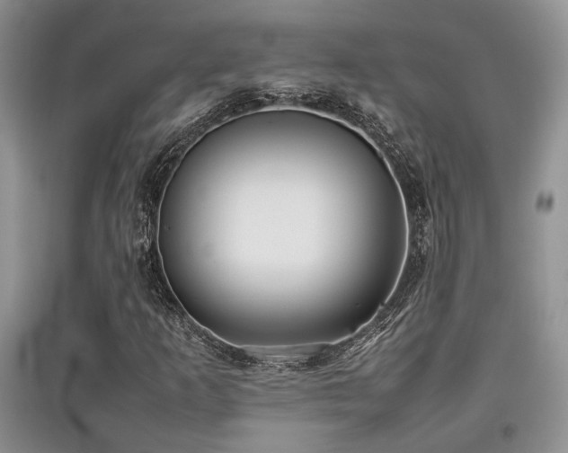 X0000097801253200803141046