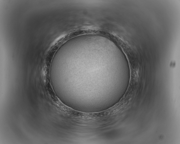 X0000097801254200803141046
