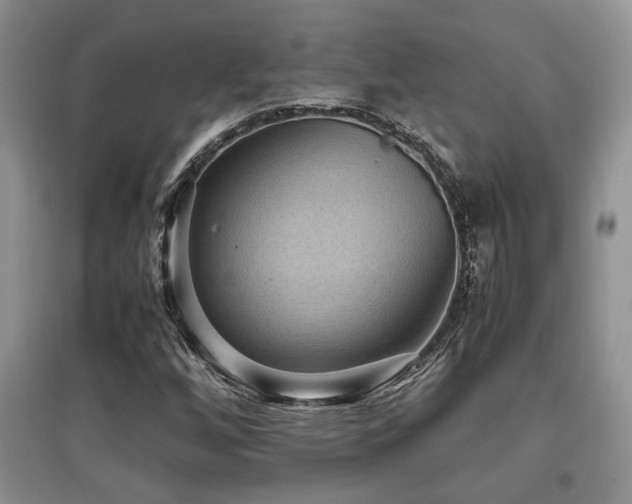 X0000097801256200803141046