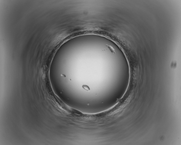 X0000097801257200803141046