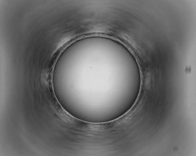 X0000097801258200803141046