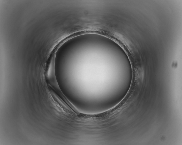 X0000097801260200803141046