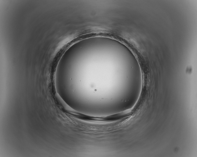 X0000097801261200803141046
