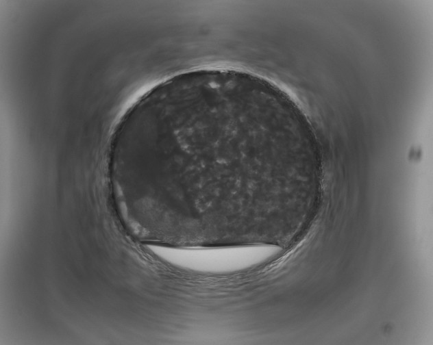 X0000097801263200803141046
