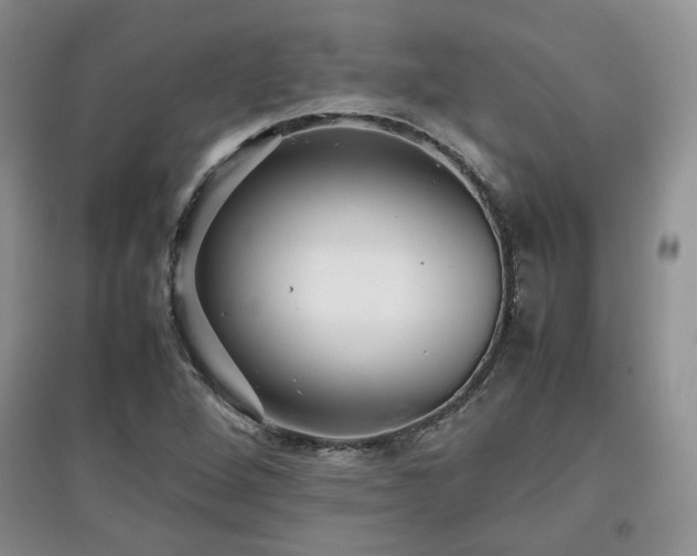 X0000097801264200803141046
