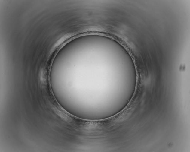 X0000097801266200803141046