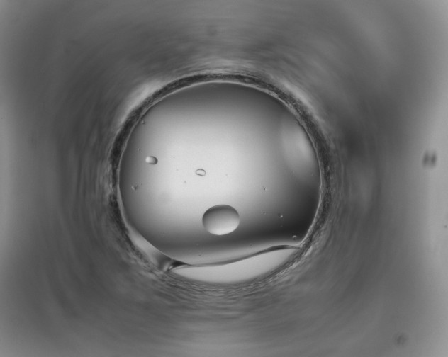 X0000097801267200803141046
