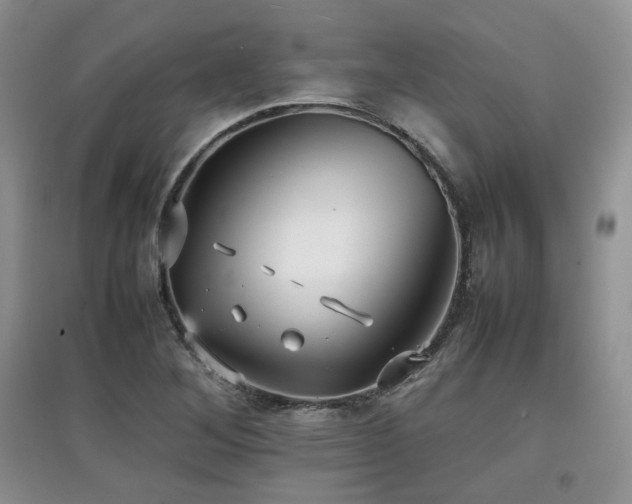 X0000097801268200803141046