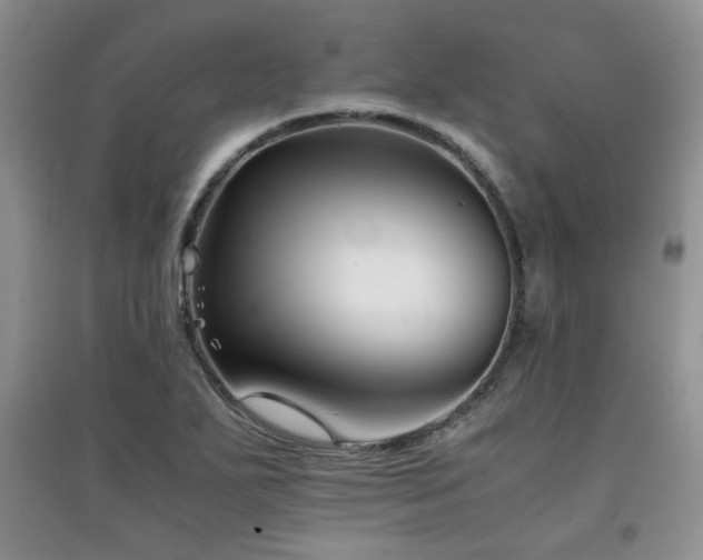 X0000097801271200803141046