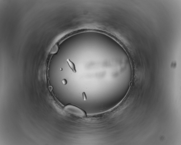 X0000097801272200803141046