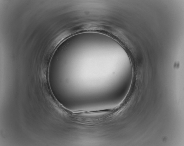 X0000097801273200803141046