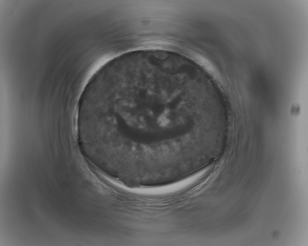 X0000097801275200803141046
