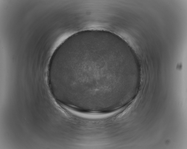 X0000097801277200803141046