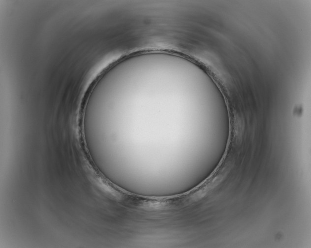 X0000097801278200803141046