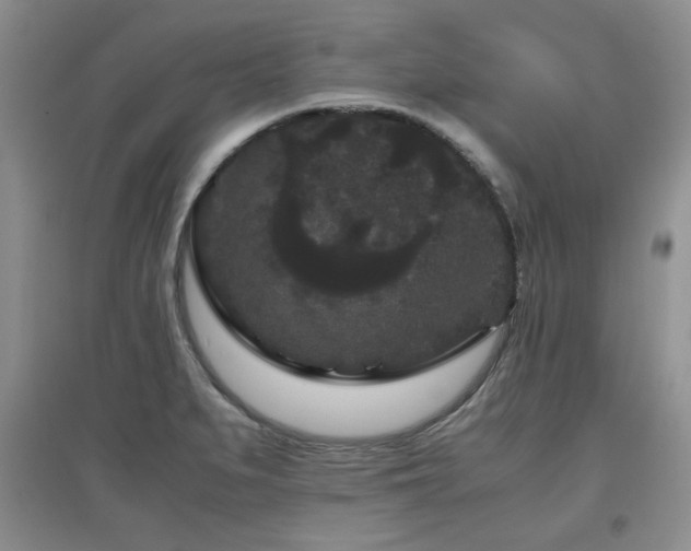 X0000097801279200803141046