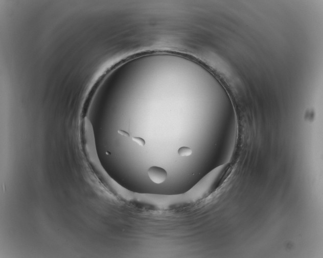 X0000097801280200803141046
