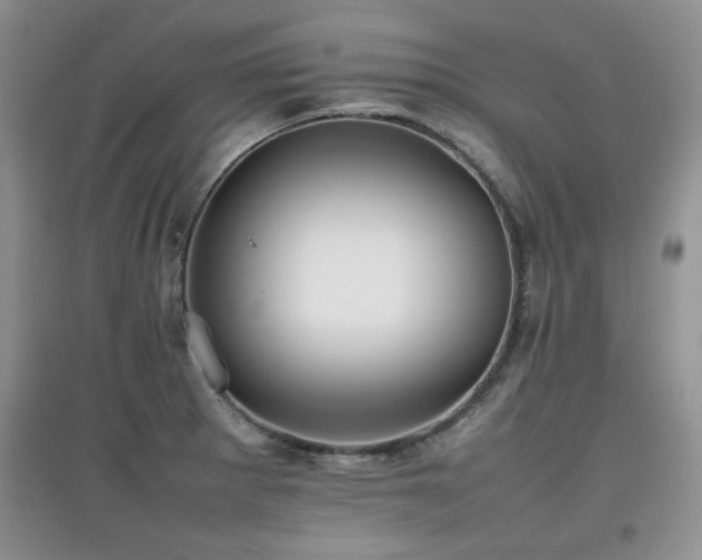 X0000097801281200803141046