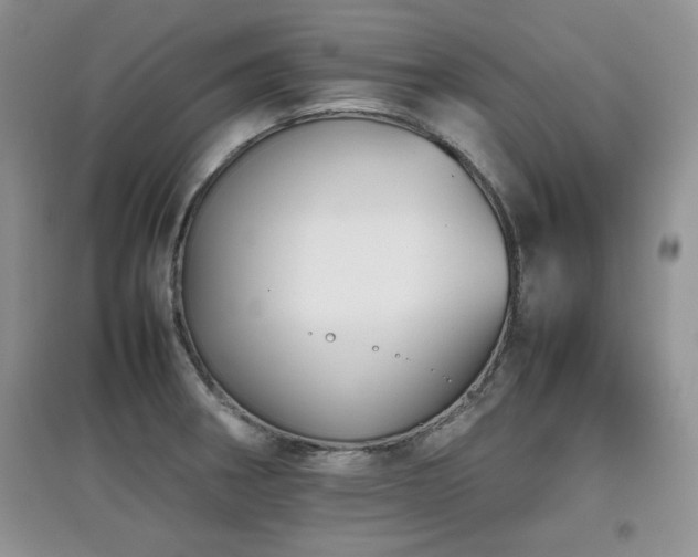 X0000097801282200803141046